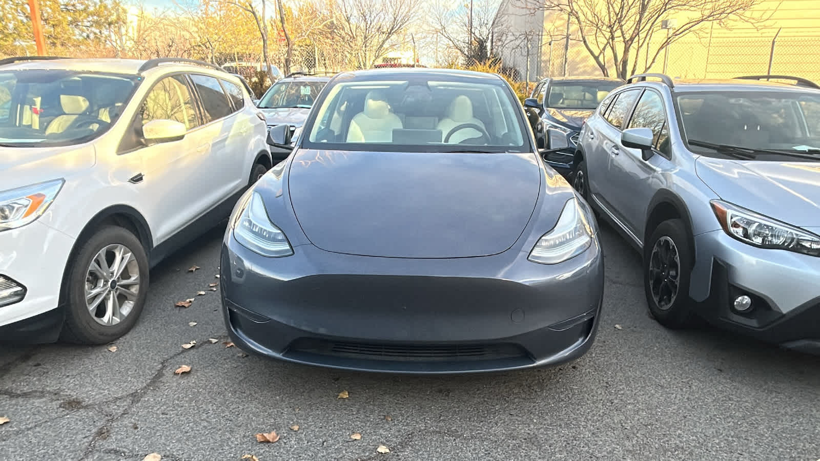 Thumbnail: 2023 Tesla Model Y - 21