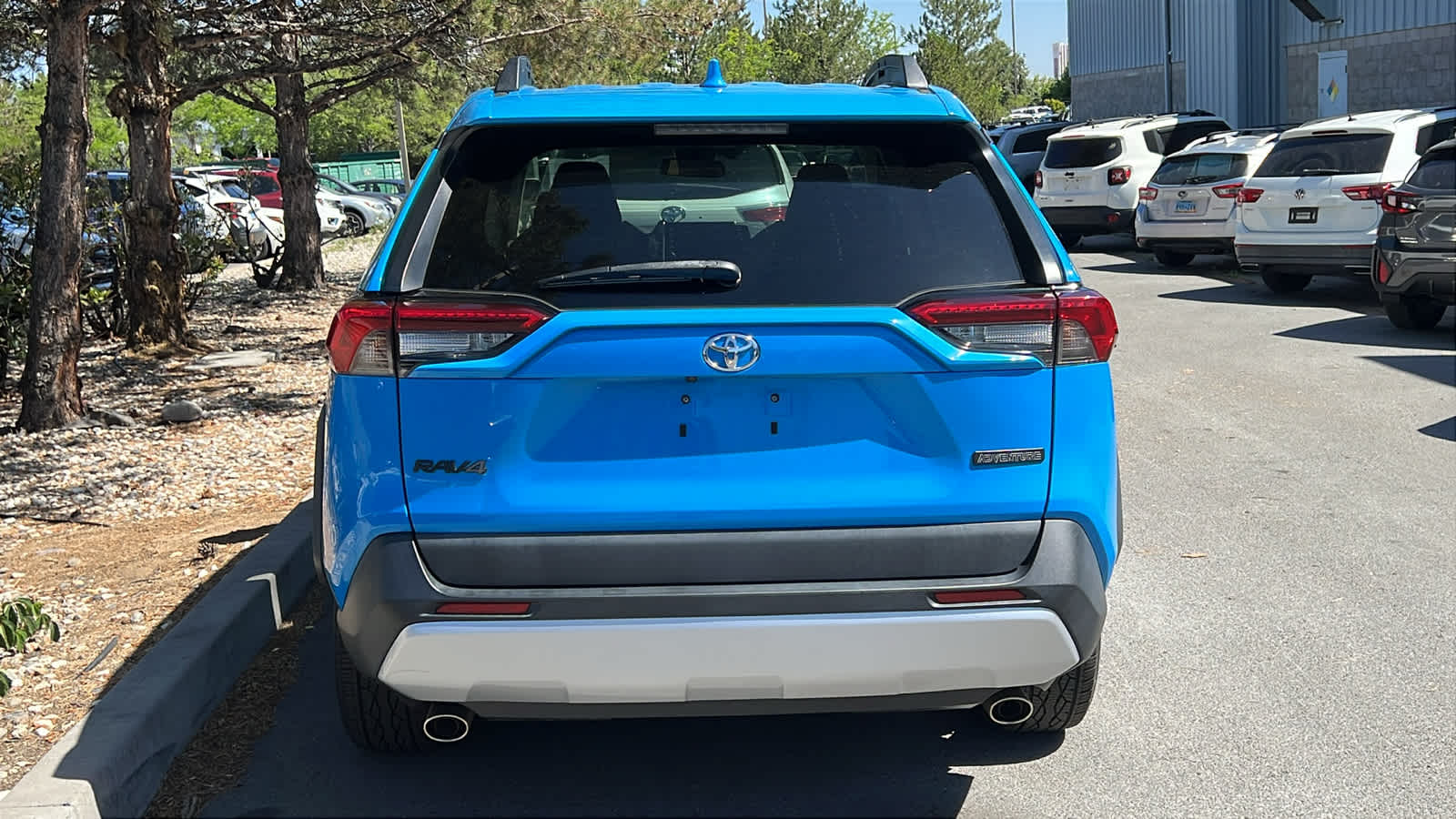 2019 Toyota RAV4 Adventure 11