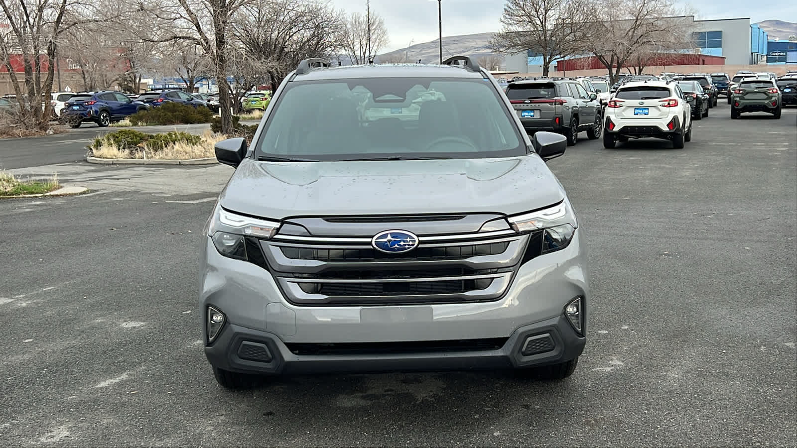 Thumbnail: 2026 Subaru Forester - 2