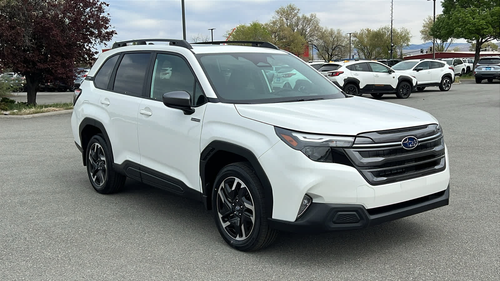Thumbnail: 2026 Subaru Forester - 3