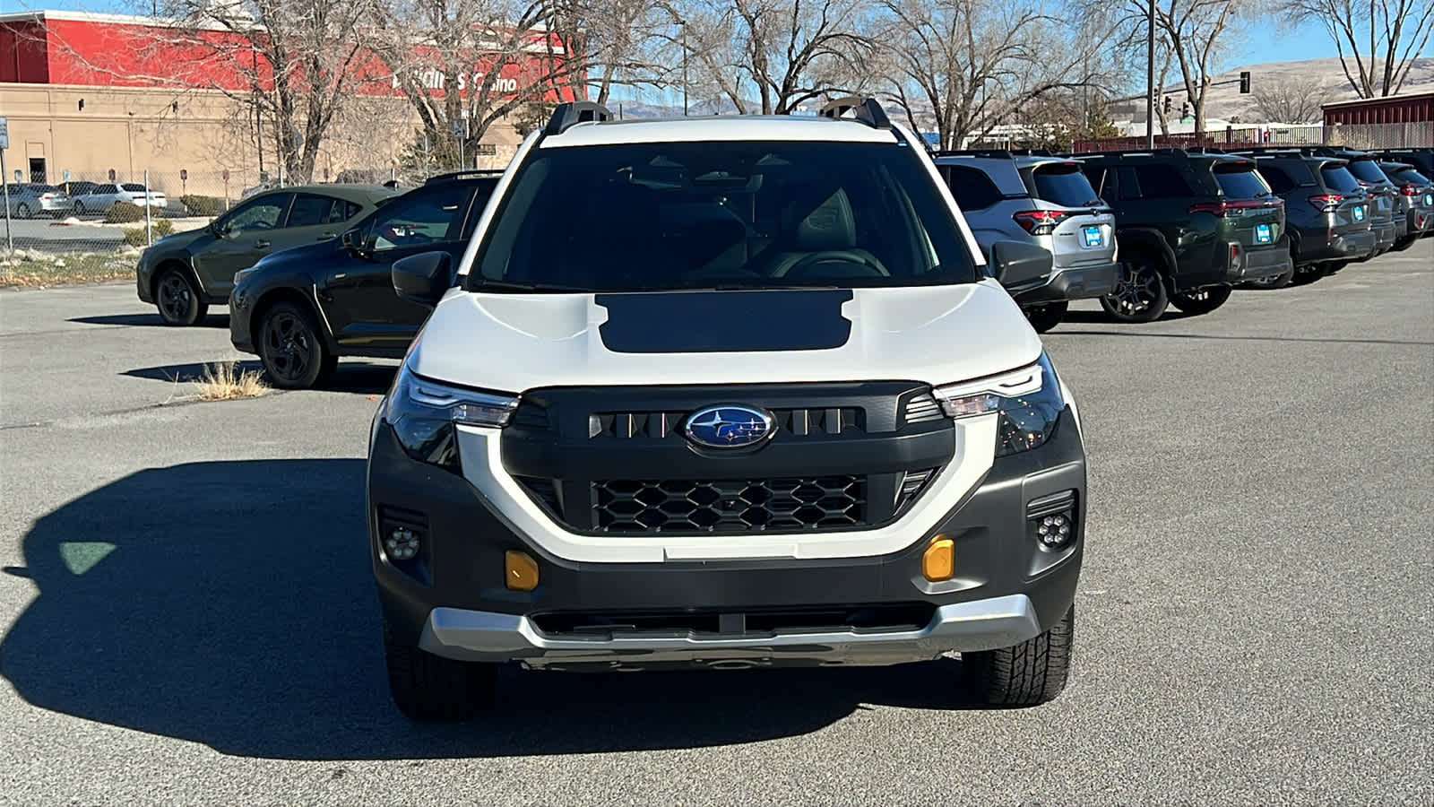 Thumbnail: 2026 Subaru Forester - 2