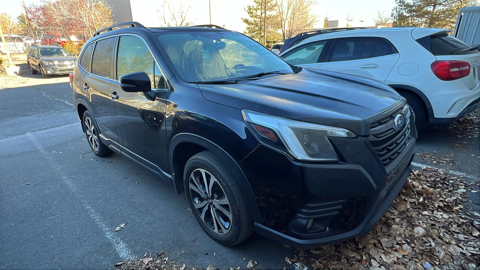 Thumbnail: 2023 Subaru Forester - 21