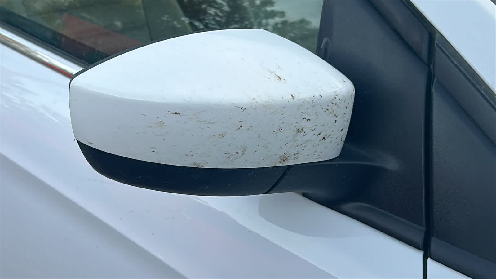 Thumbnail: 2018 Ford Escape - 19