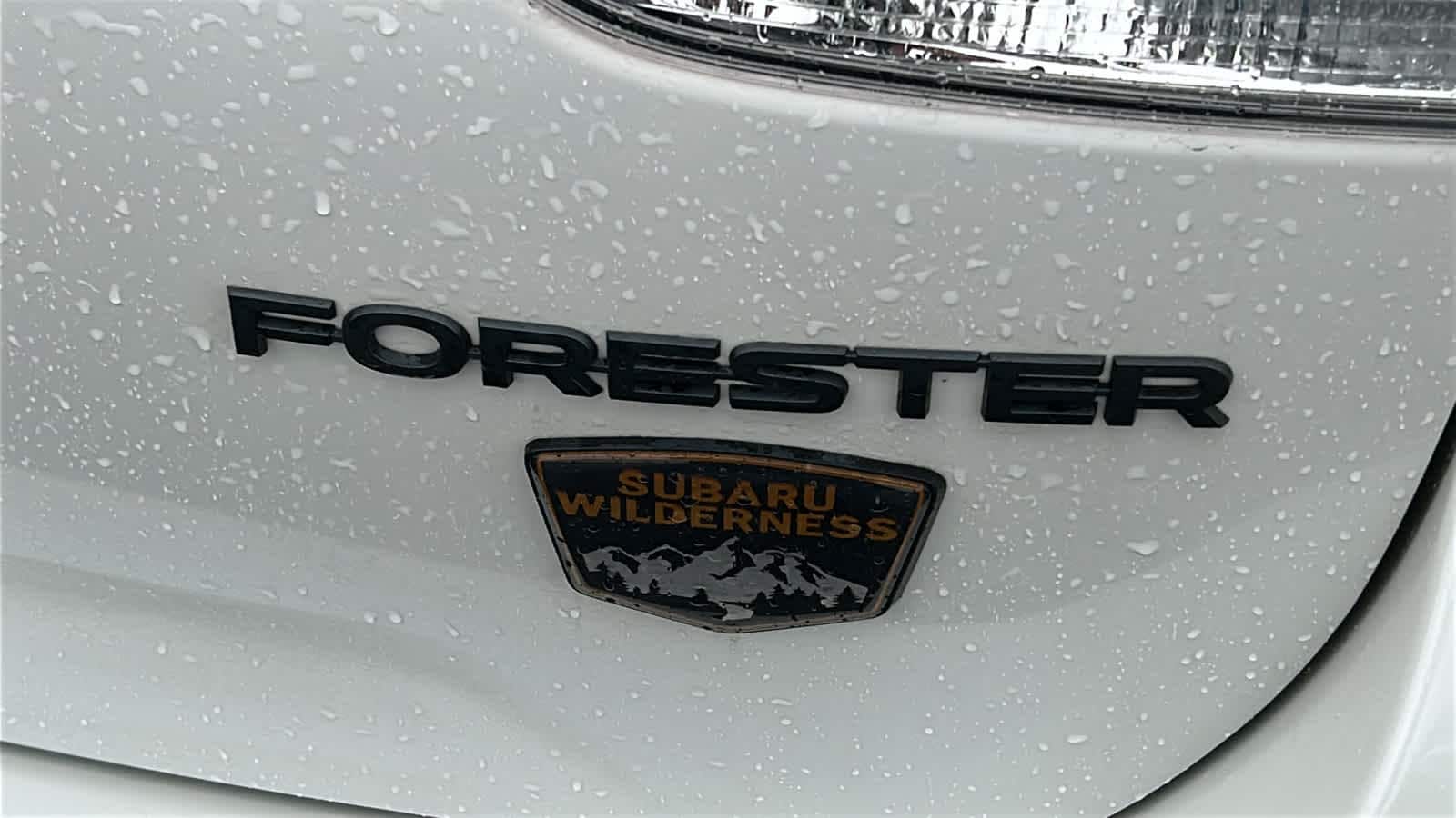Thumbnail: 2022 Subaru Forester - 28