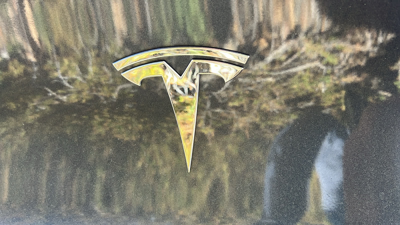 Thumbnail: 2022 Tesla Model Y - 11