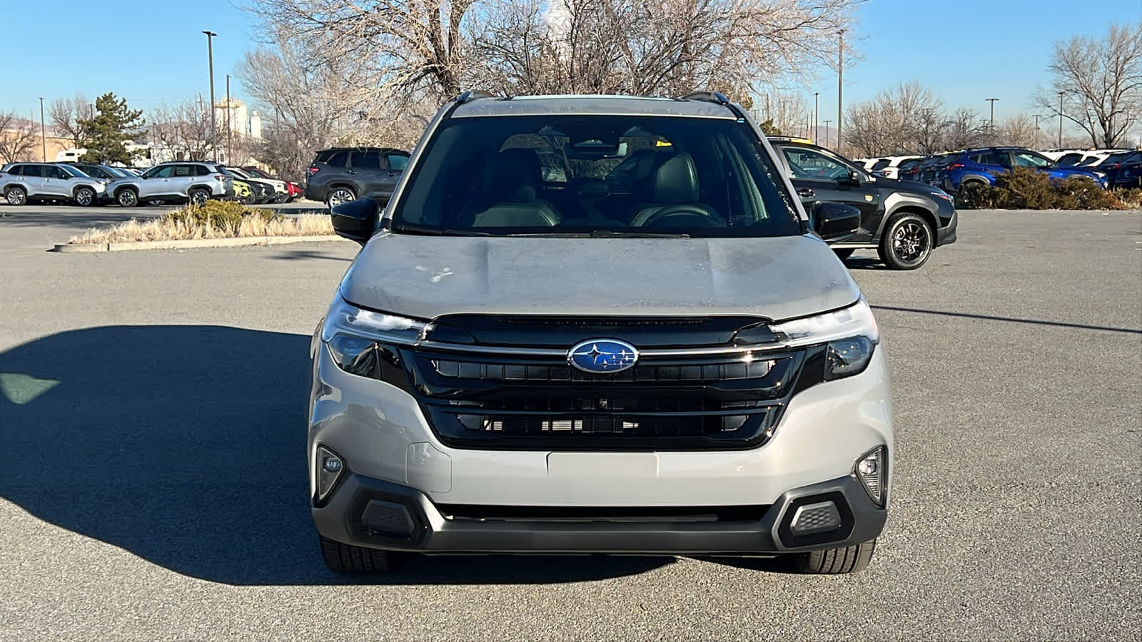 Thumbnail: 2026 Subaru Forester - 2