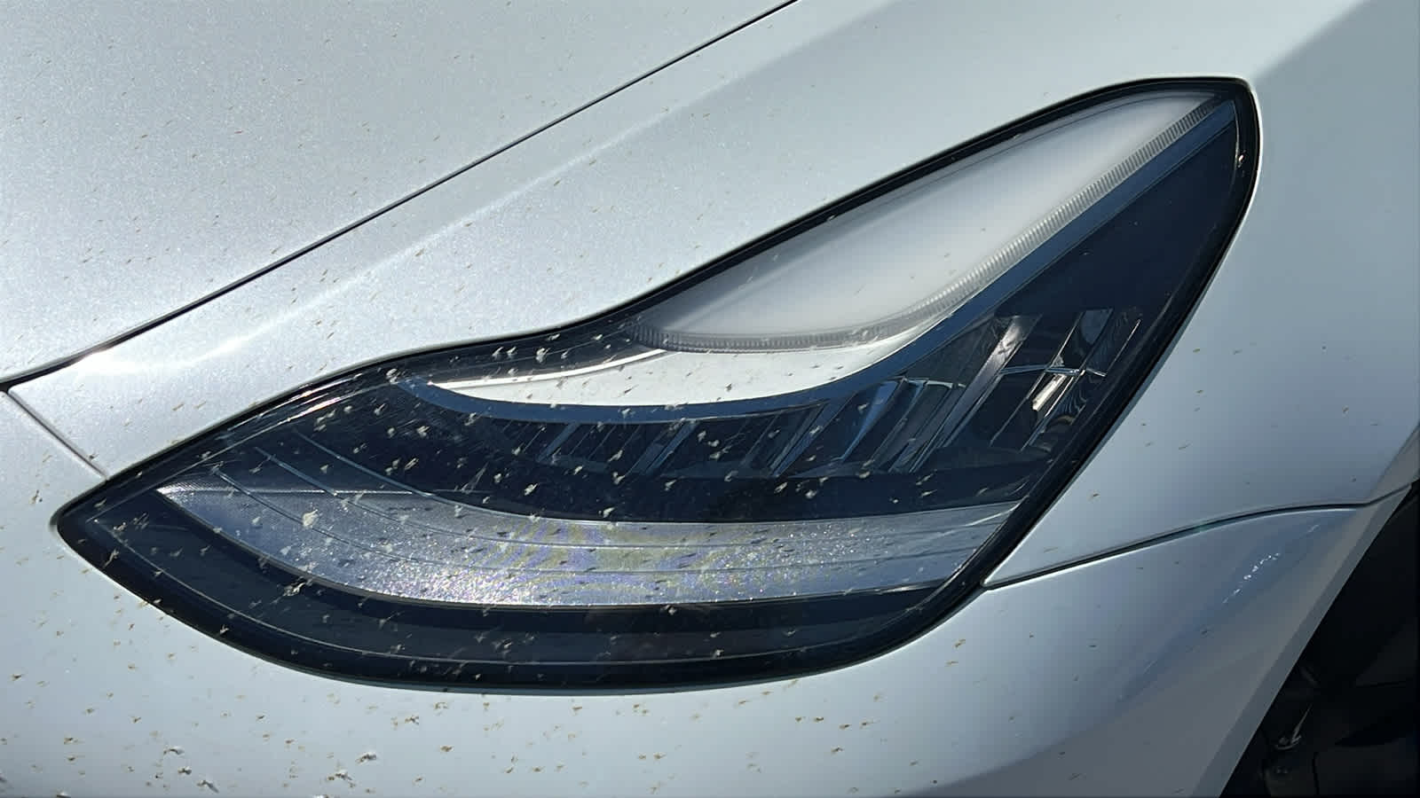 2018 Tesla Model 3 Long Range photo 3