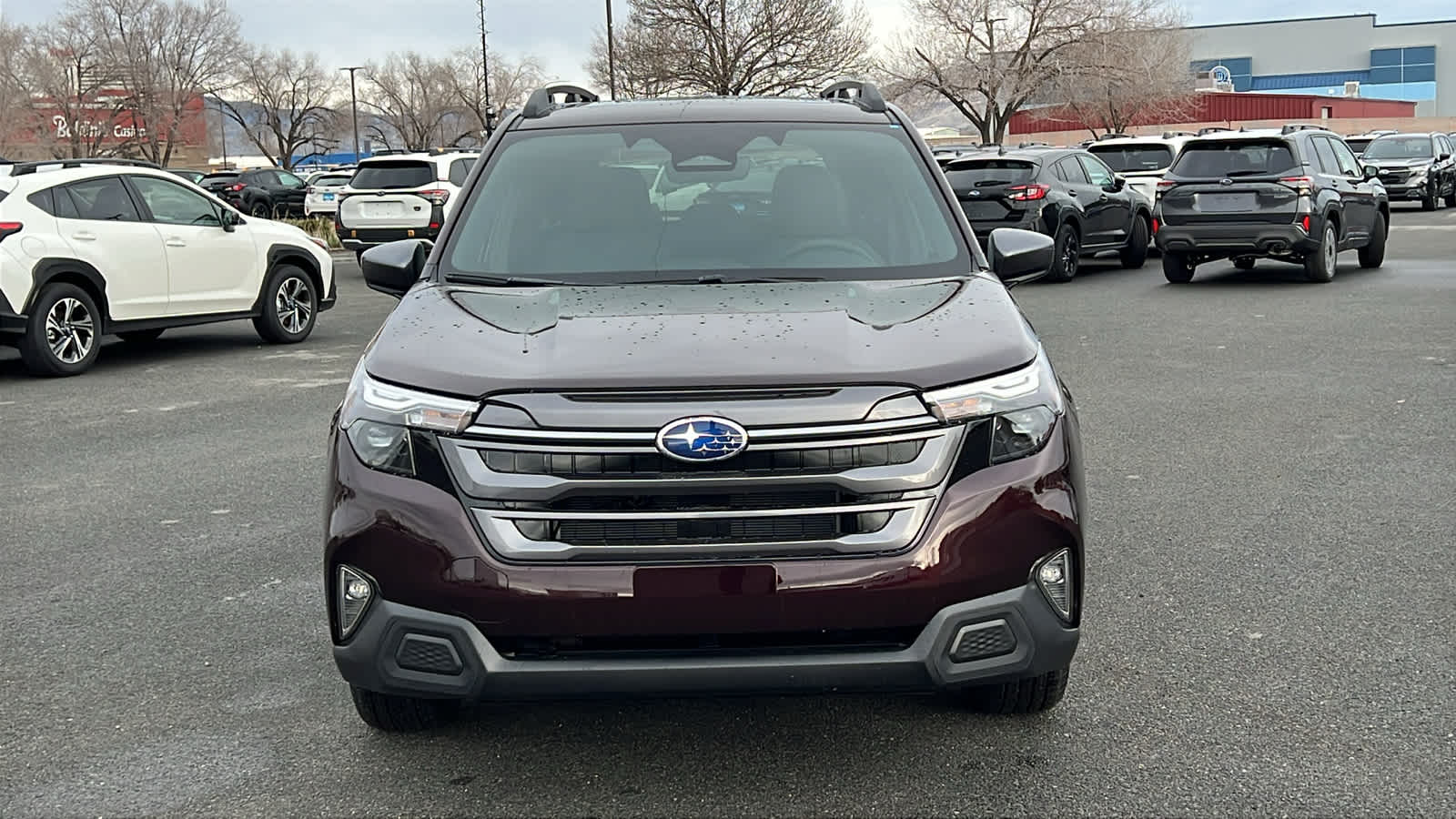 Thumbnail: 2026 Subaru Forester - 2