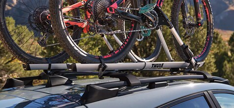 integrated roof rails