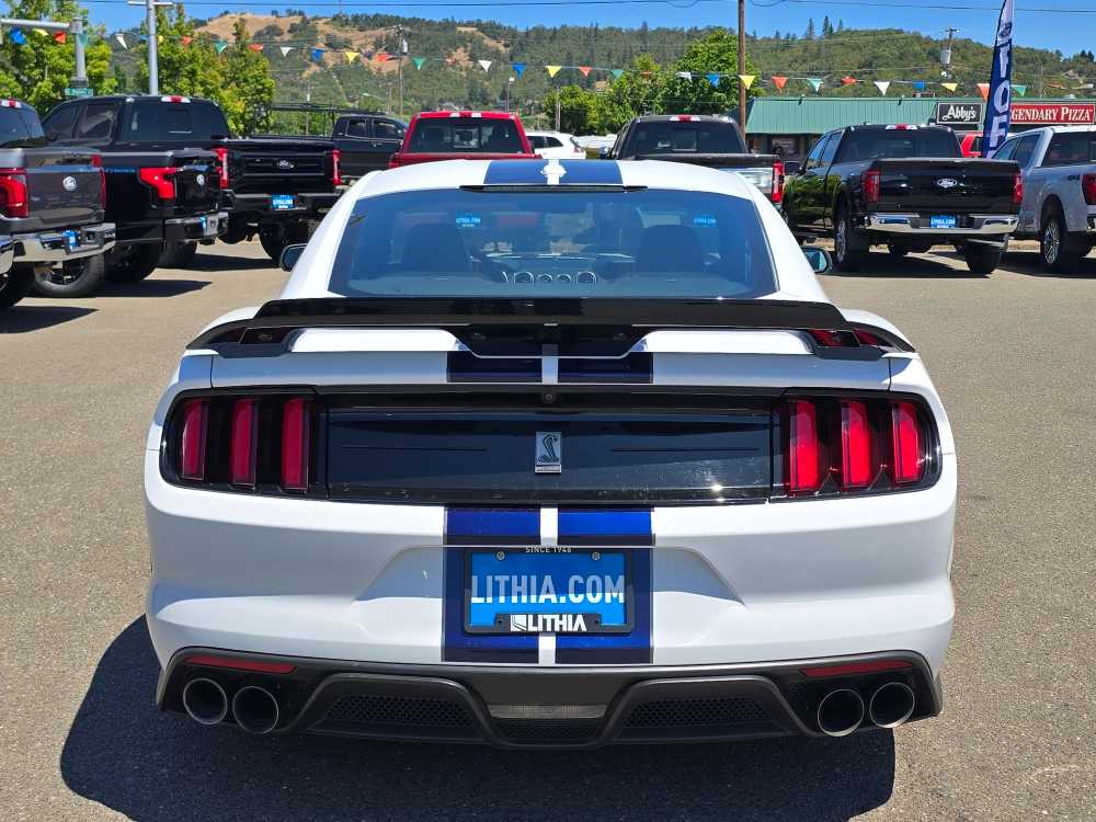 2019 Ford Mustang Shelby photo 4