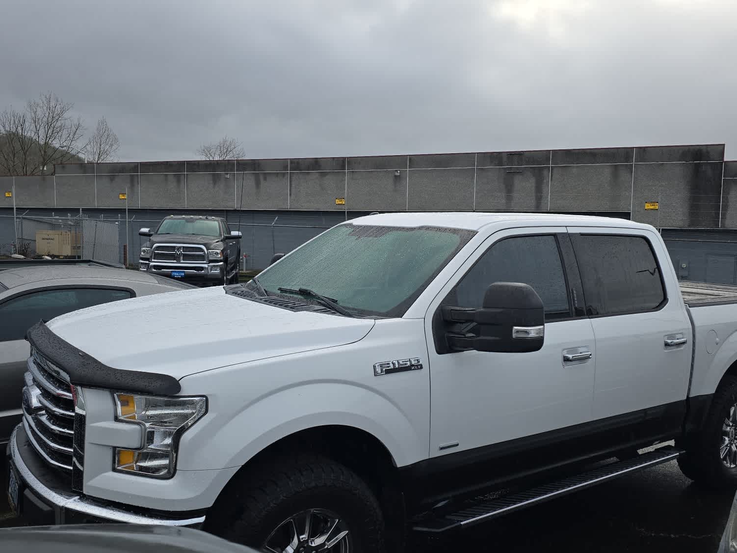 2015 Ford F-150 XLT's photo