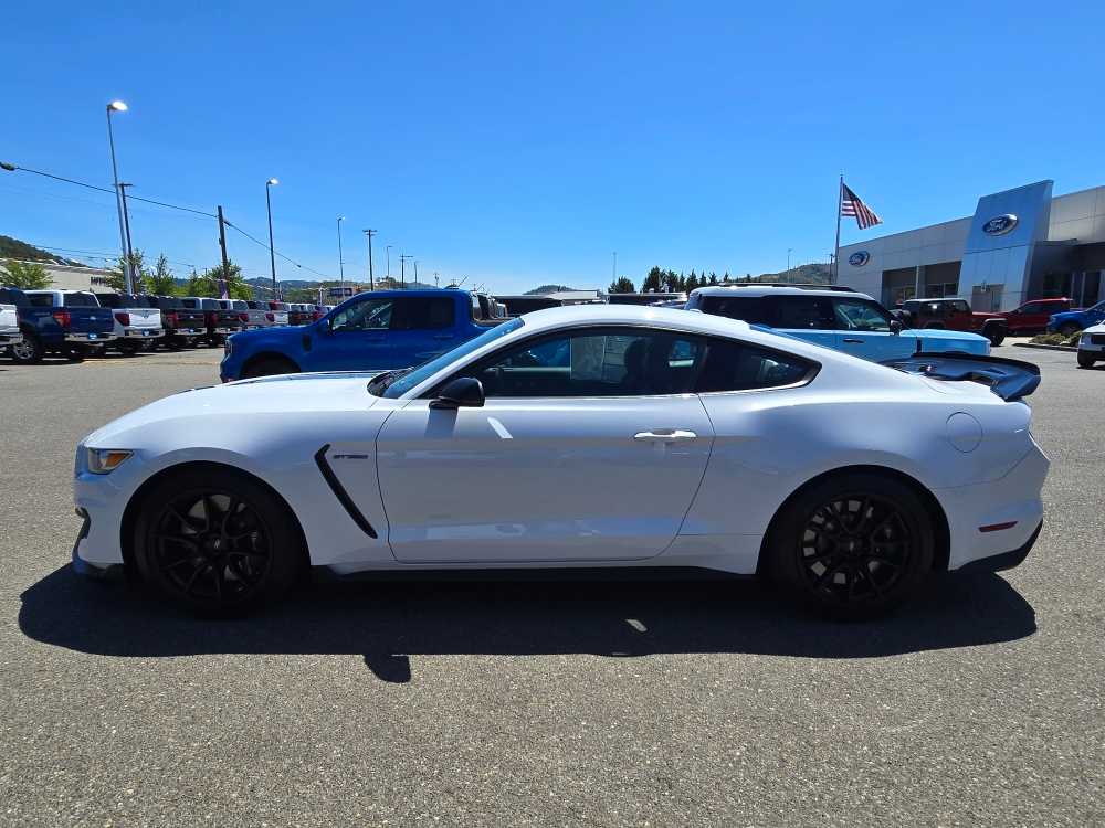 2019 Ford Mustang Shelby photo 2