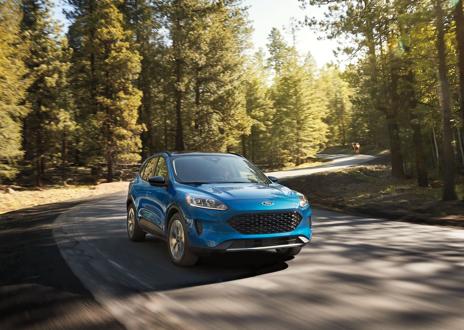 blue Ford Escape hybrid moving fast through a forest road