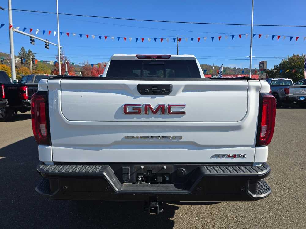 2023 Gmc Sierra 1500 AT4X photo 4