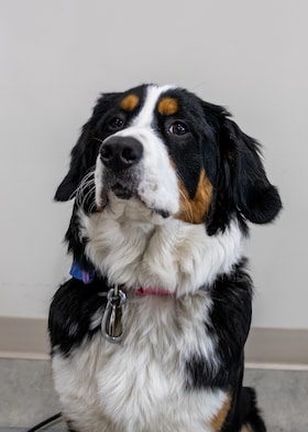 Staff member Athena Zawicki from ID_0a7e500c4c7d