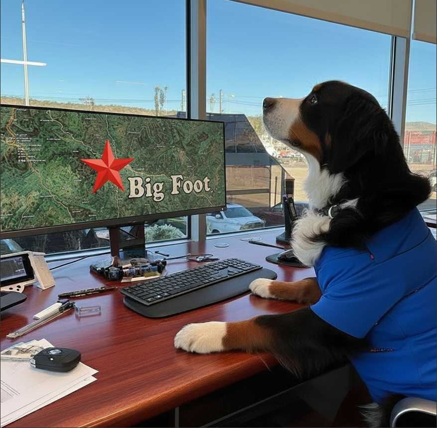 2022 Ford Mustang Coupe 