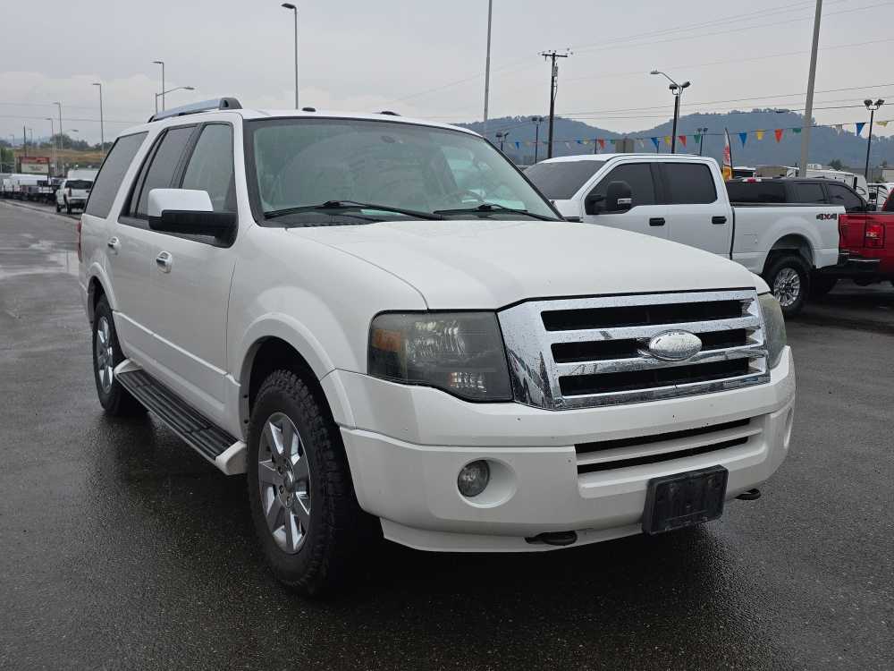 2009 Ford Expedition Limited photo 3