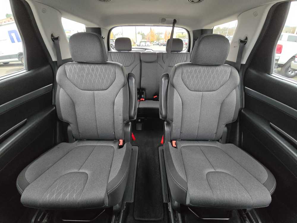 Thumbnail: 2020 Hyundai Palisade - 18