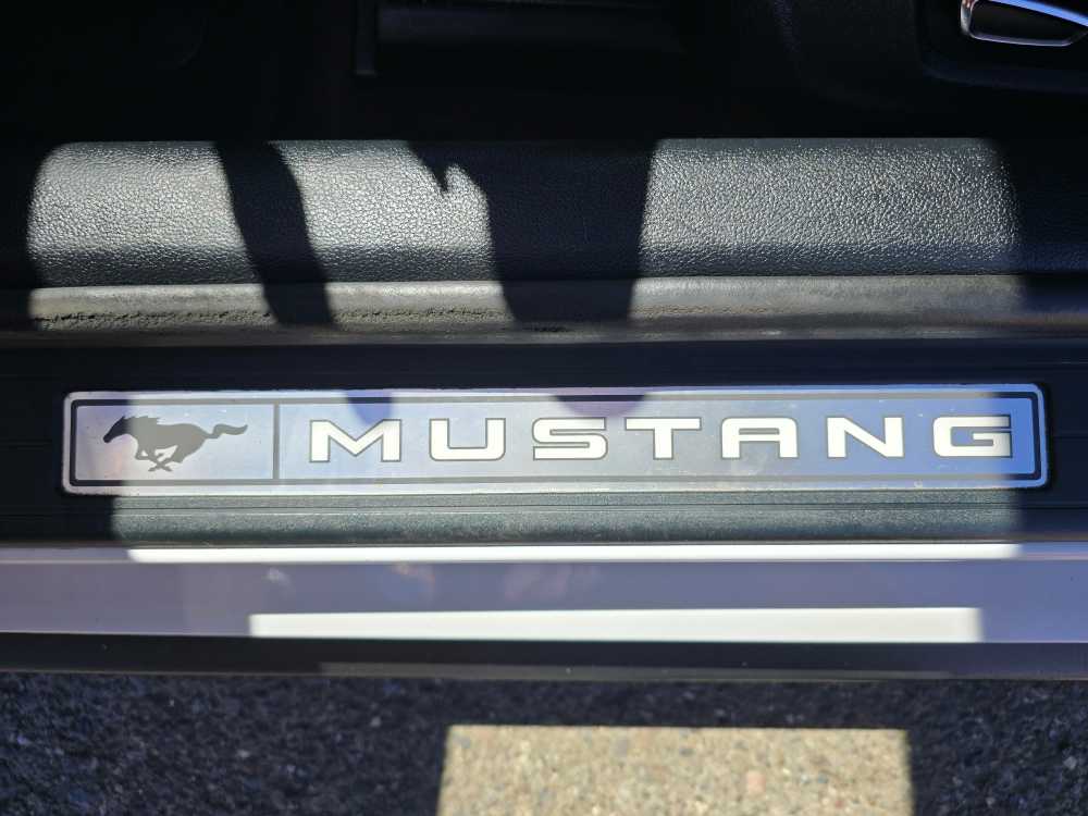 Thumbnail: 2015 Ford Mustang - 18