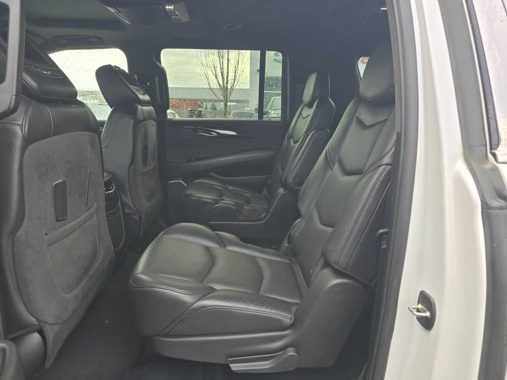 Thumbnail: 2019 Cadillac Escalade - 16