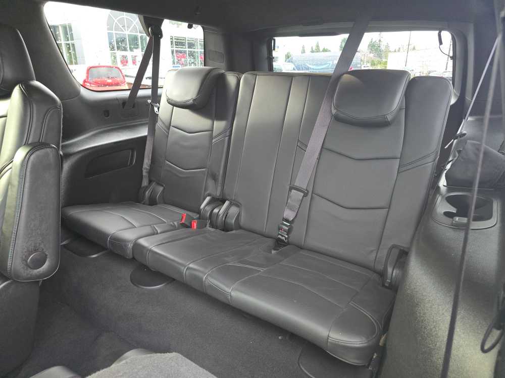 Thumbnail: 2019 Cadillac Escalade - 17