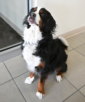 Staff member Stanley Schubert from ID_36d2635d817d