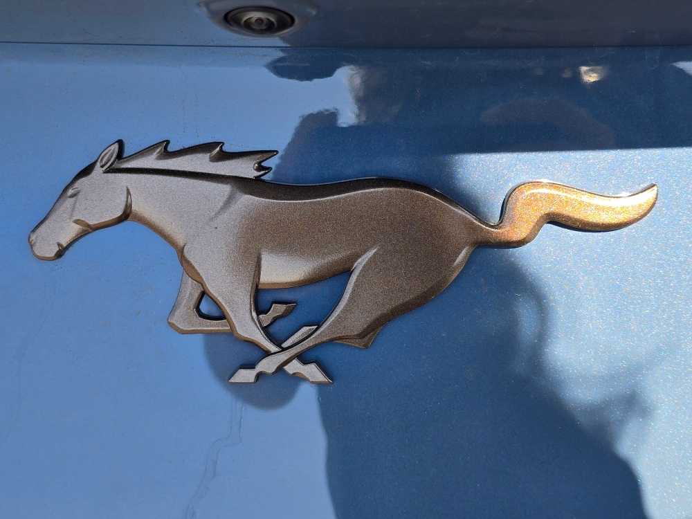 Thumbnail: 2025 Ford Mustang - 19