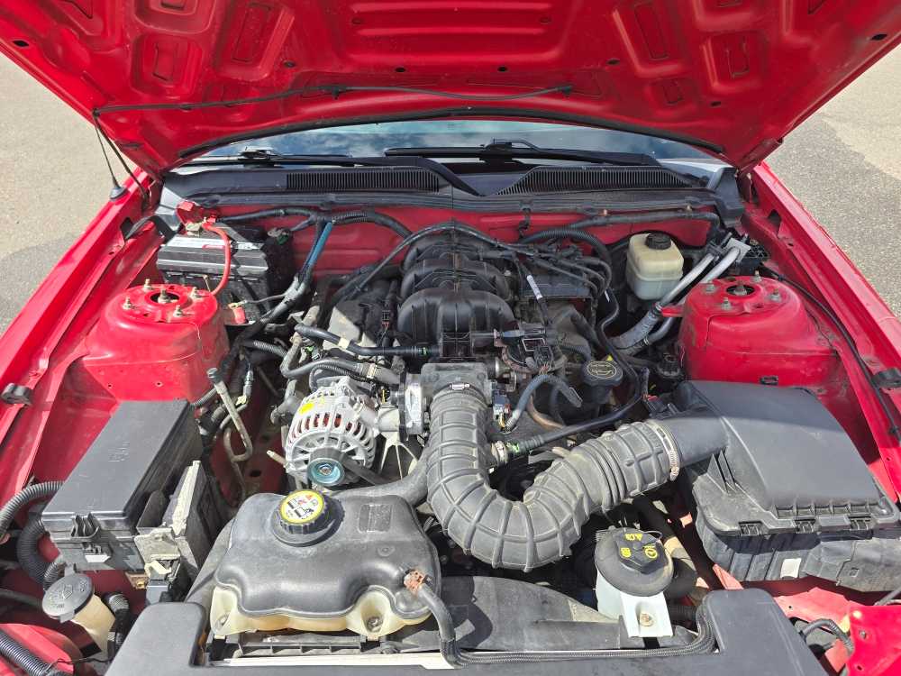 Thumbnail: 2008 Ford Mustang - 17