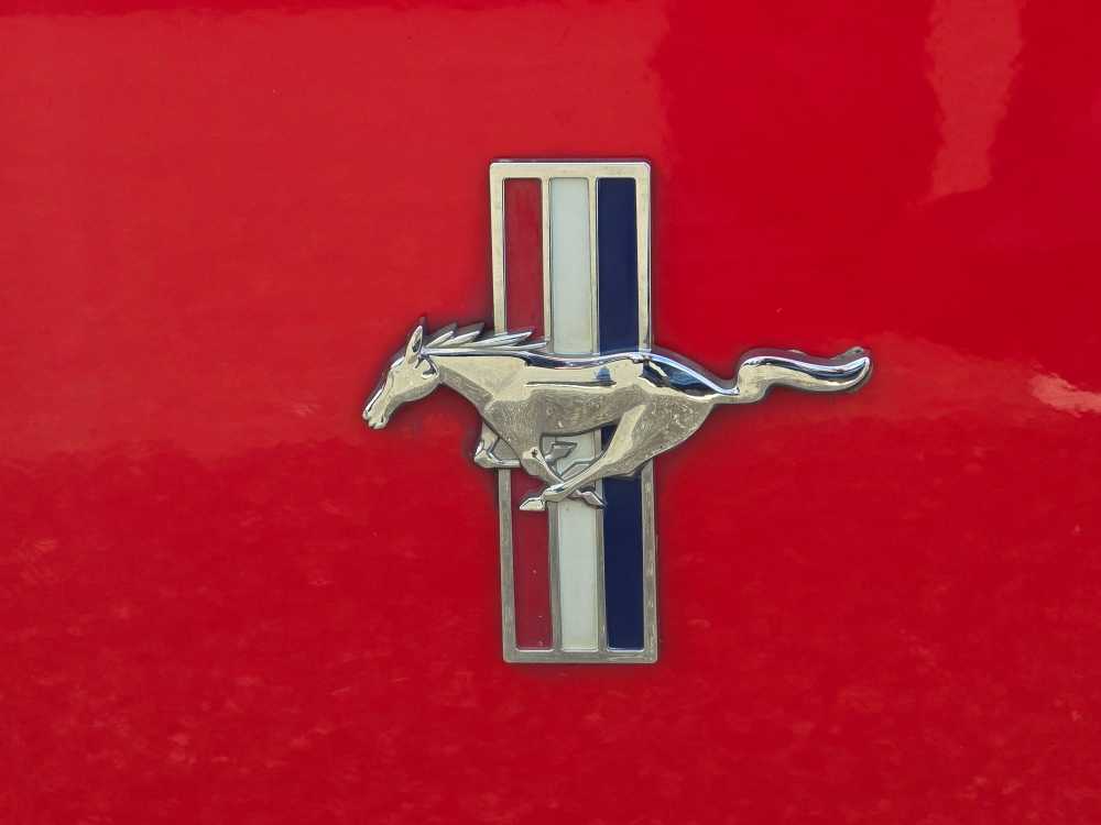 Thumbnail: 2008 Ford Mustang - 19