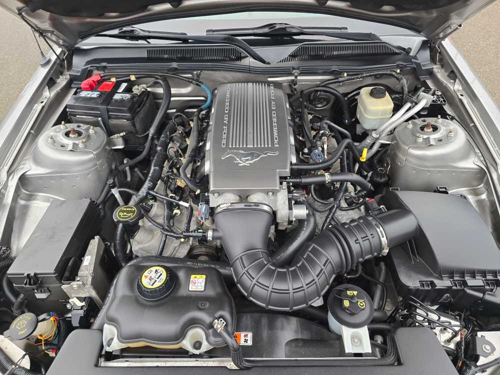 Thumbnail: 2008 Ford Mustang - 19