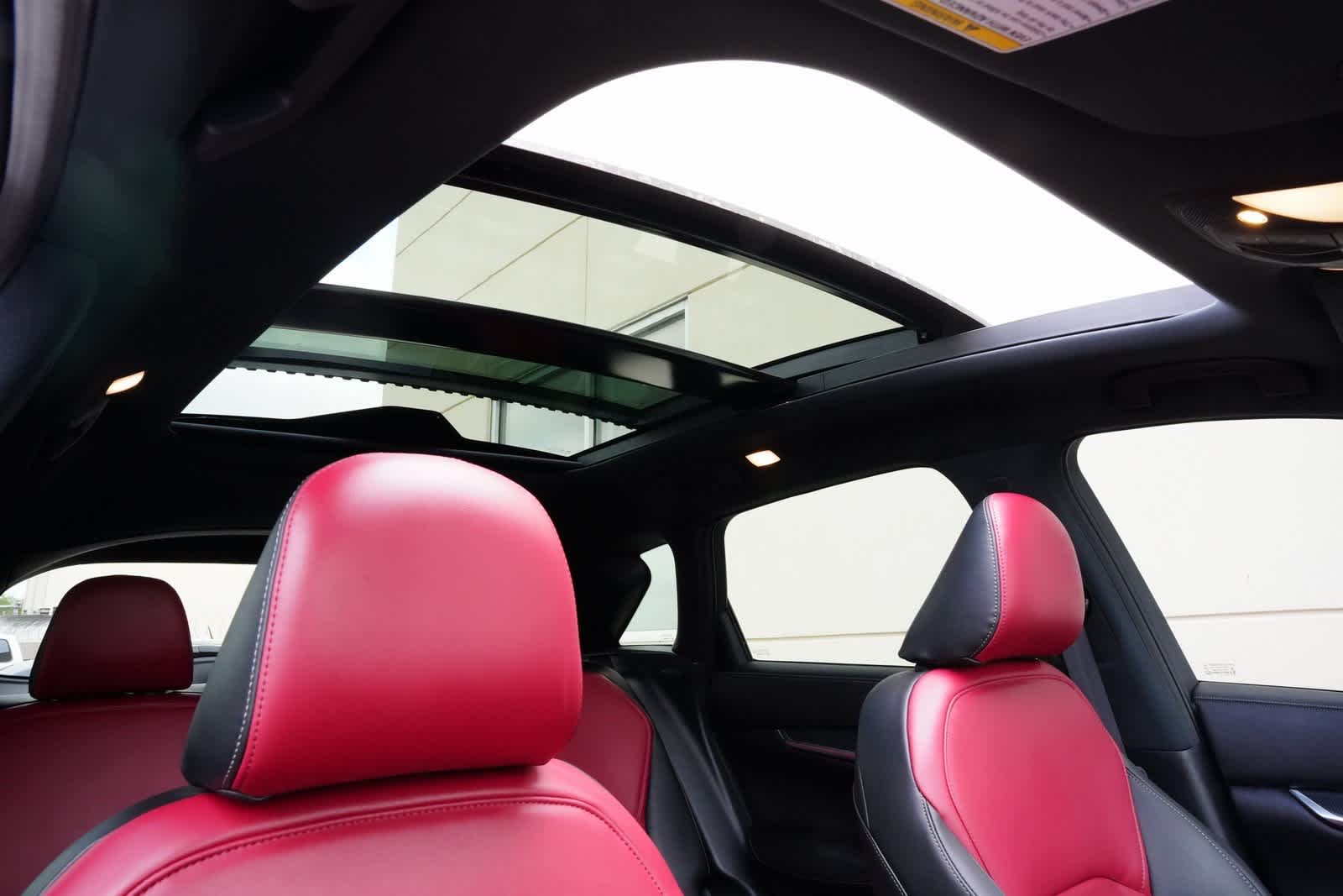 Thumbnail: 2025 INFINITI QX50 - 25