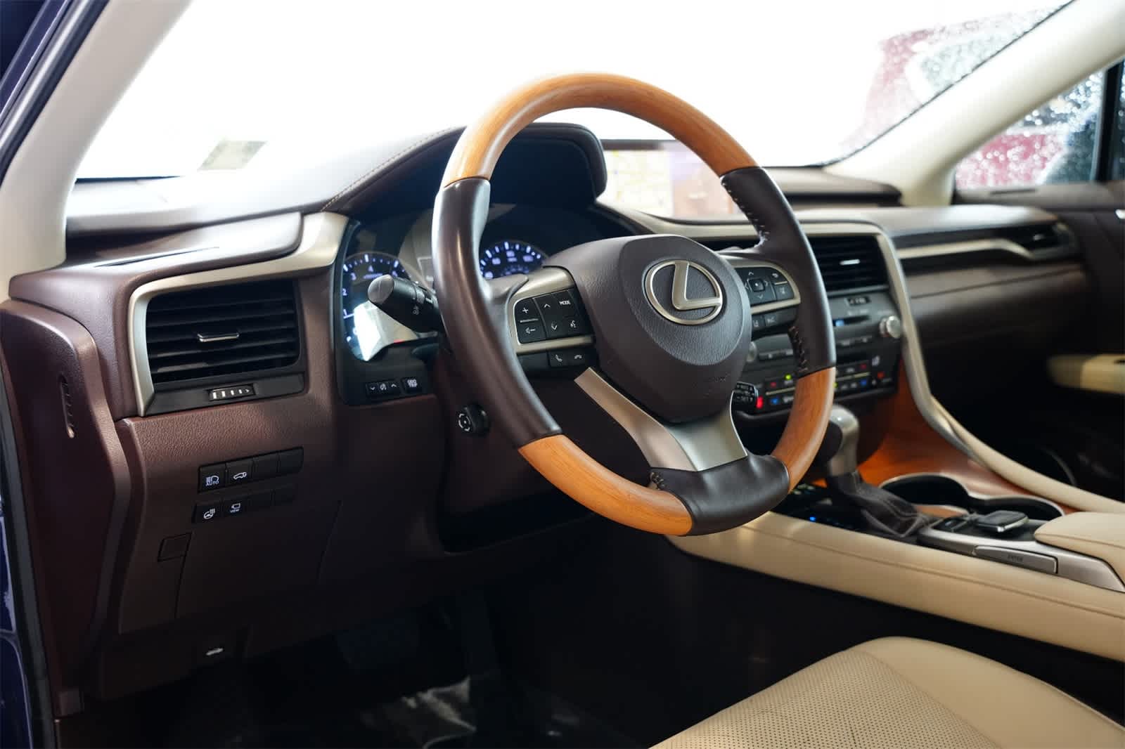 2019 Lexus RX 350 15