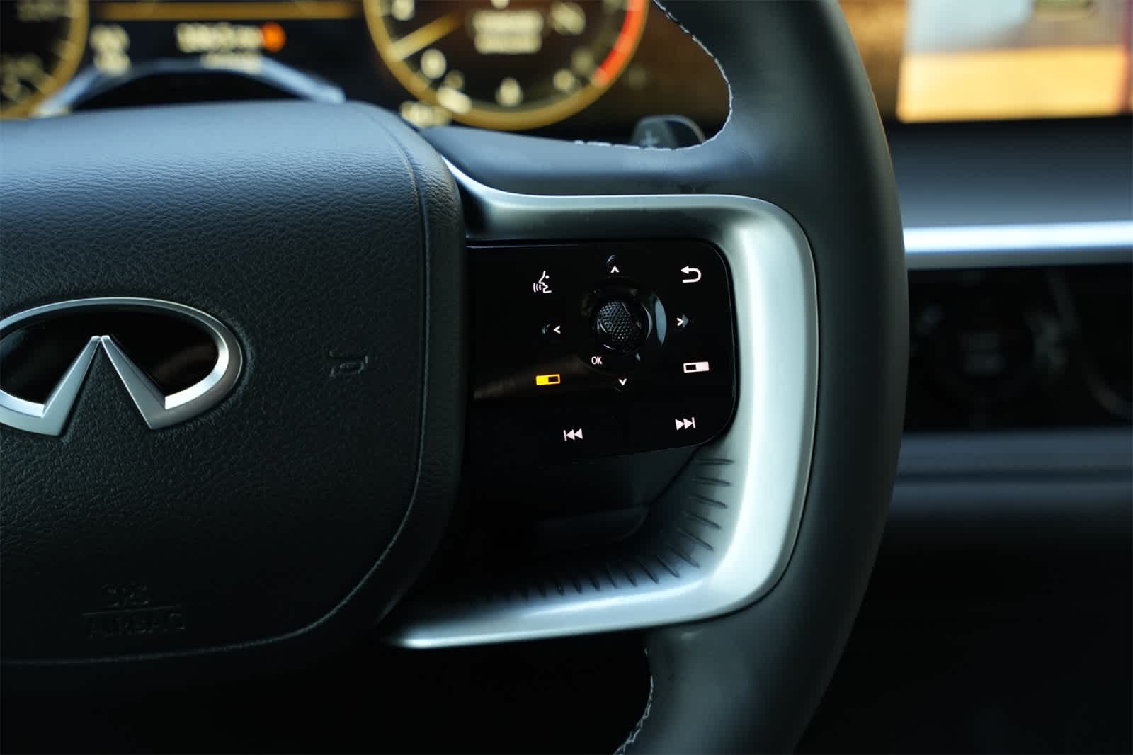 2025 INFINITI QX80 Luxe 13