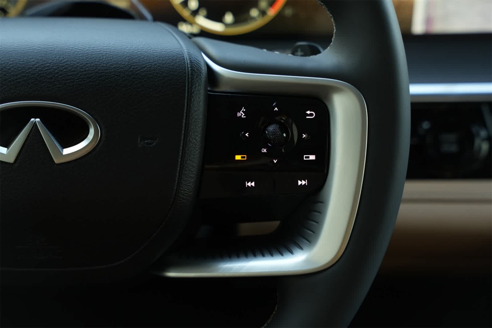Thumbnail: 2025 INFINITI QX80 - 13