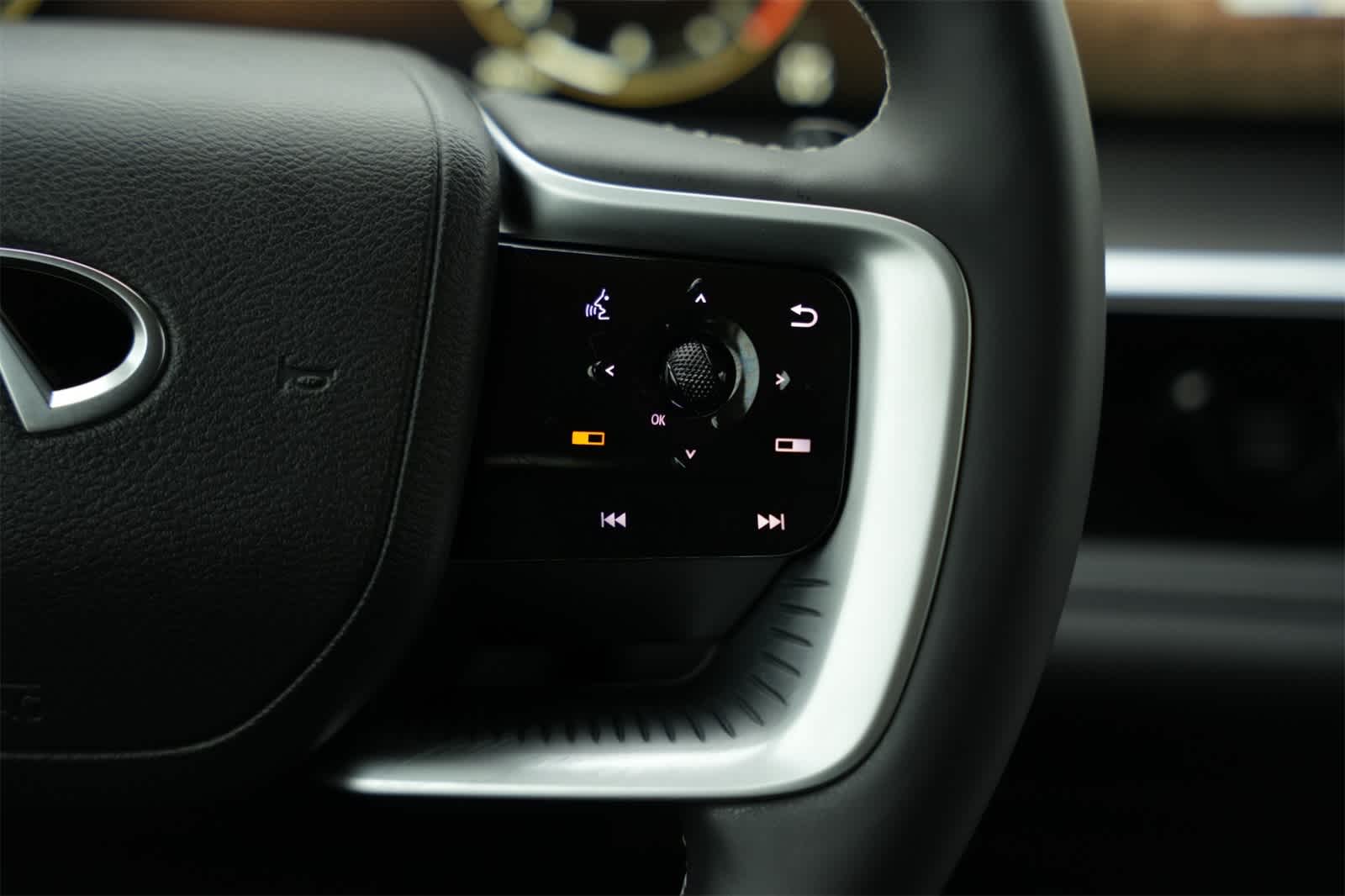 2025 INFINITI QX80 Luxe 11