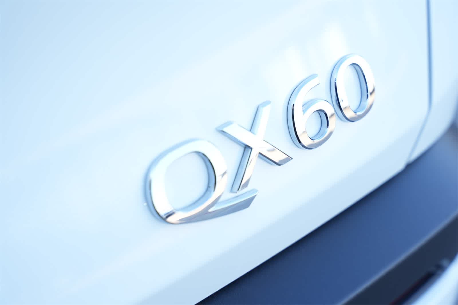 Thumbnail: 2025 INFINITI QX60 - 19