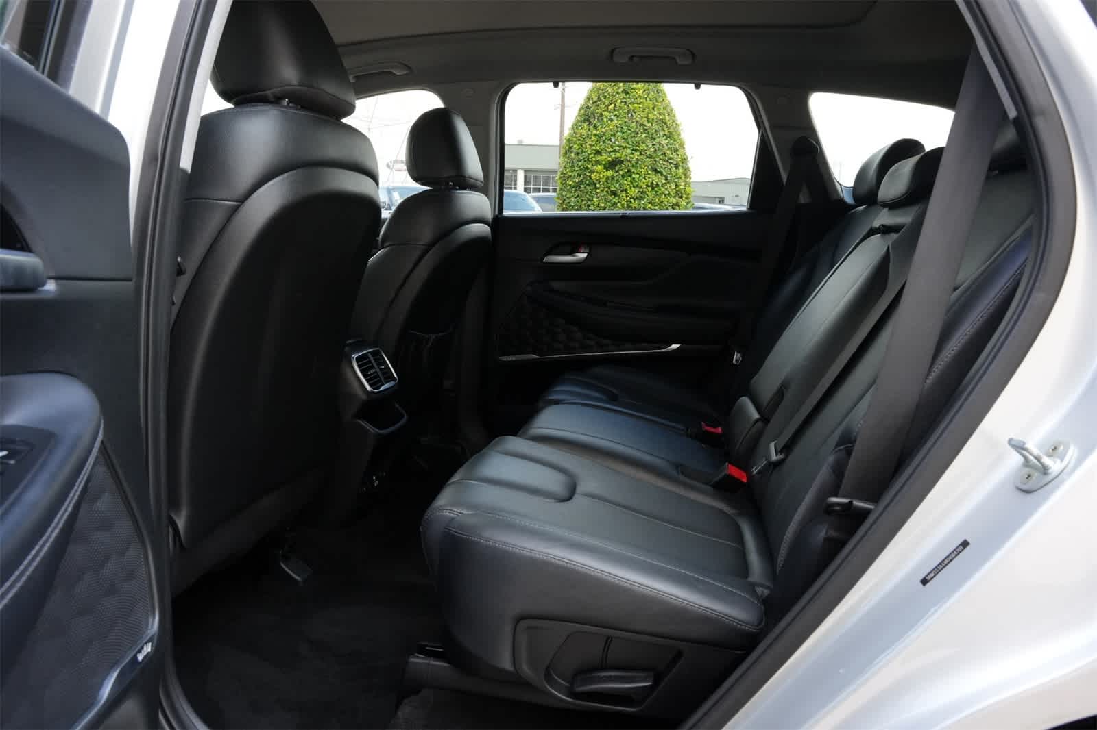 Thumbnail: 2019 Hyundai Santa Fe - 18