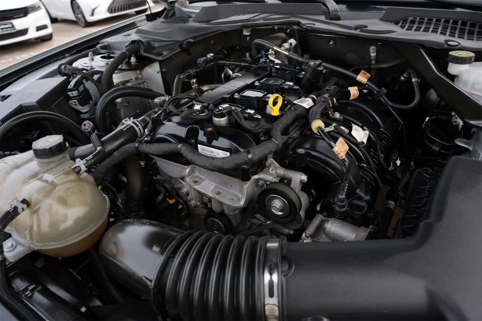 Thumbnail: 2022 Ford Mustang - 24