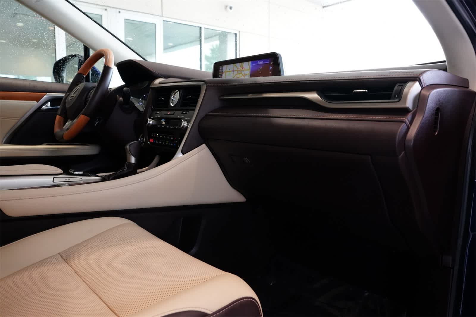 2019 Lexus RX 350 22