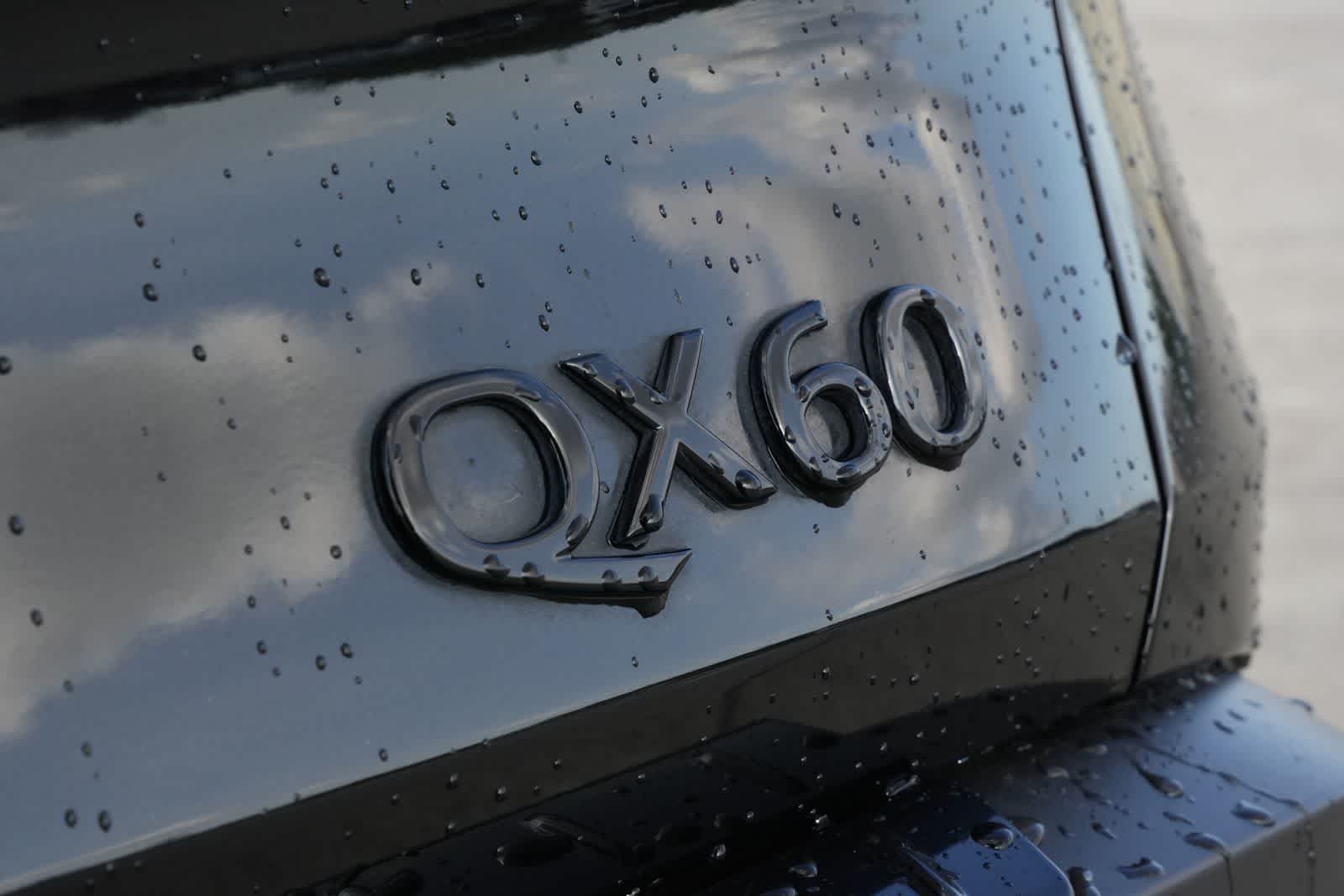 Thumbnail: 2024 INFINITI QX60 - 19