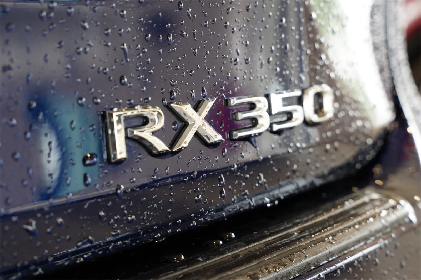 2019 Lexus RX 350 19