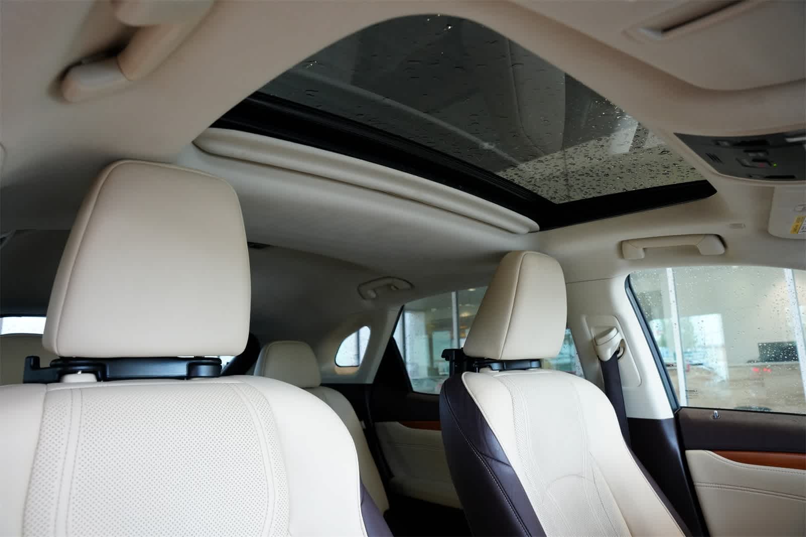 2019 Lexus RX 350 24