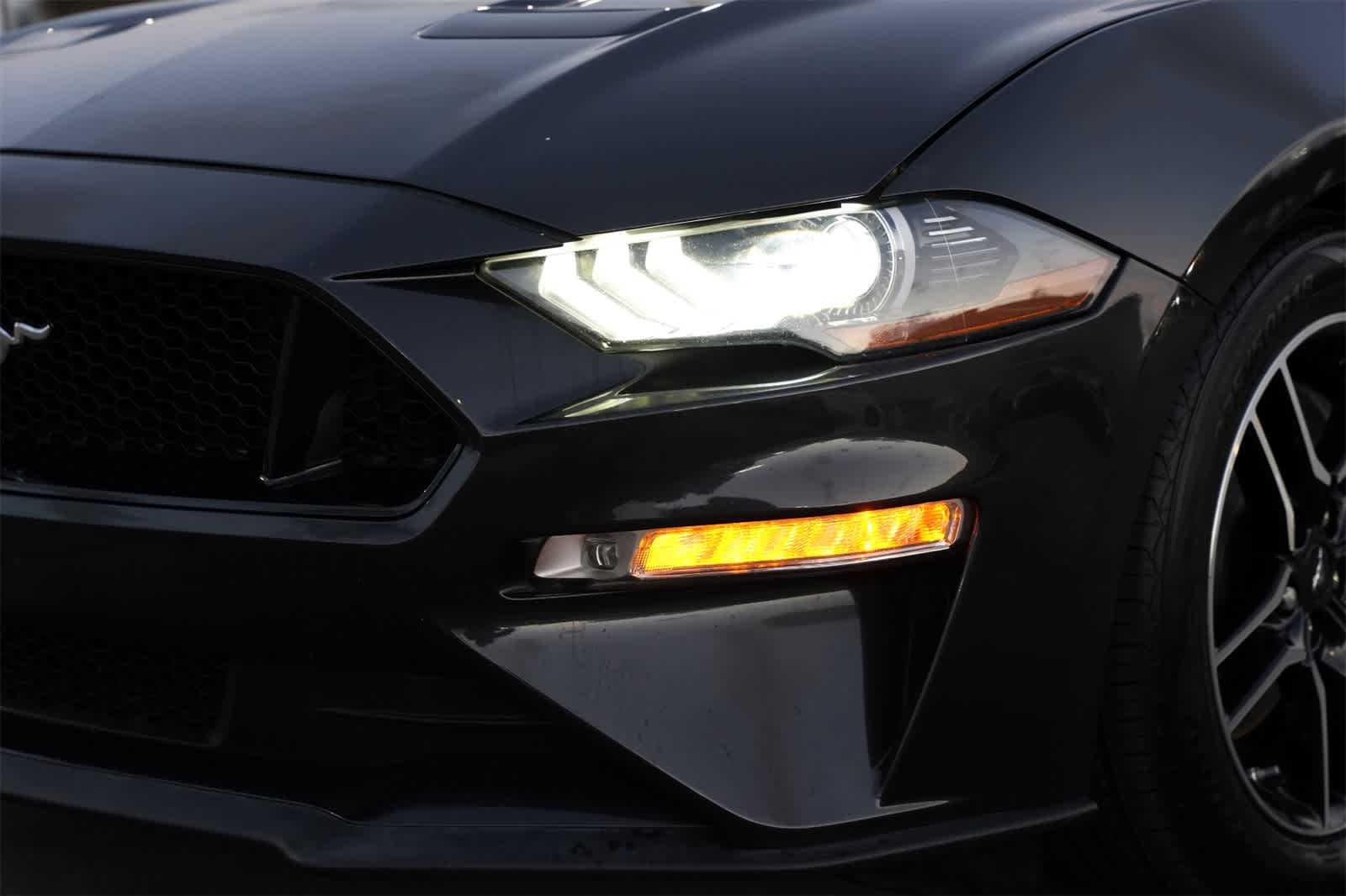 Thumbnail: 2022 Ford Mustang - 25