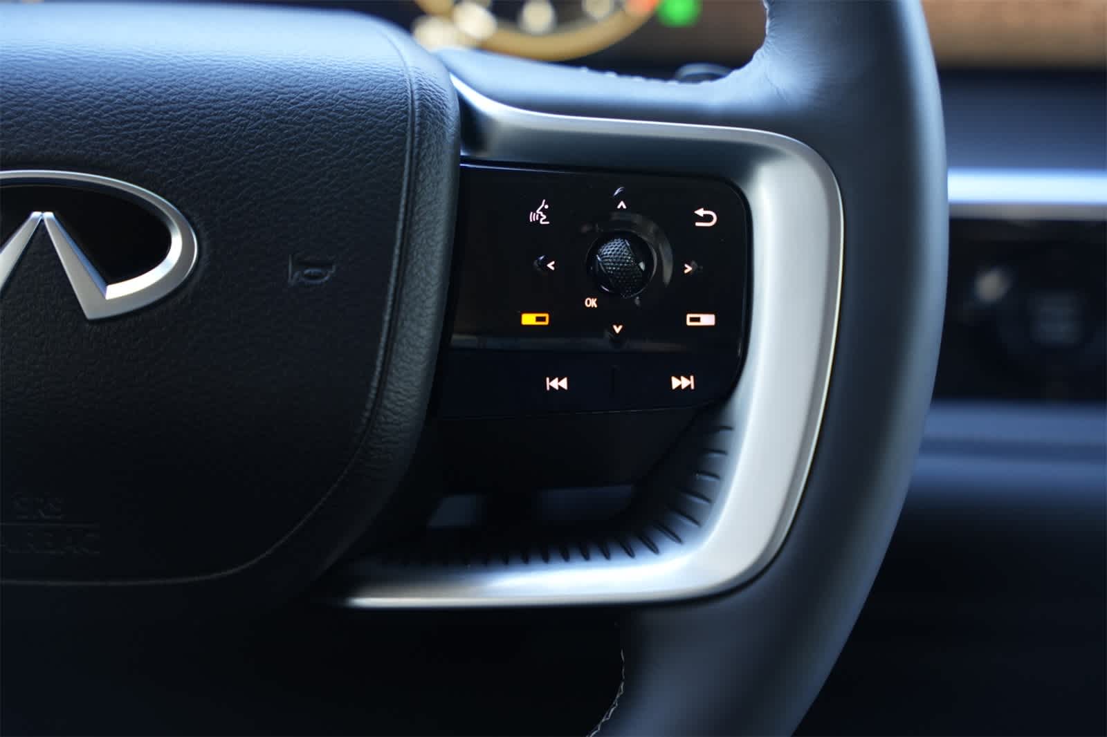 2025 INFINITI QX80 Luxe 11