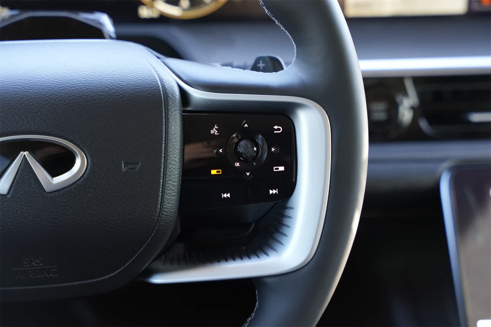 2025 INFINITI QX80 Luxe 13