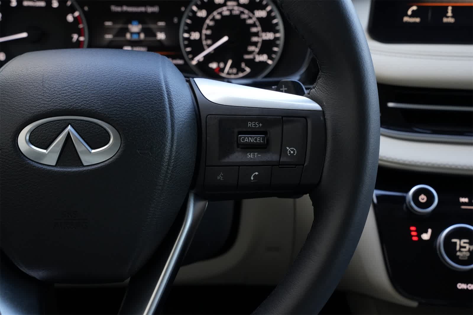 Thumbnail: 2025 INFINITI QX60 - 10