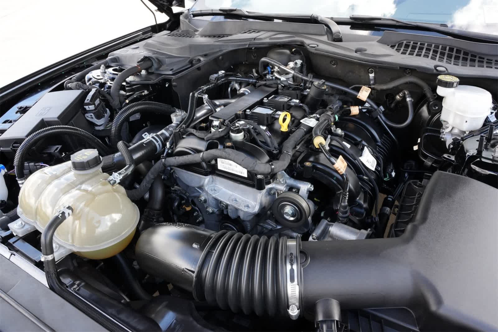 Thumbnail: 2023 Ford Mustang - 23