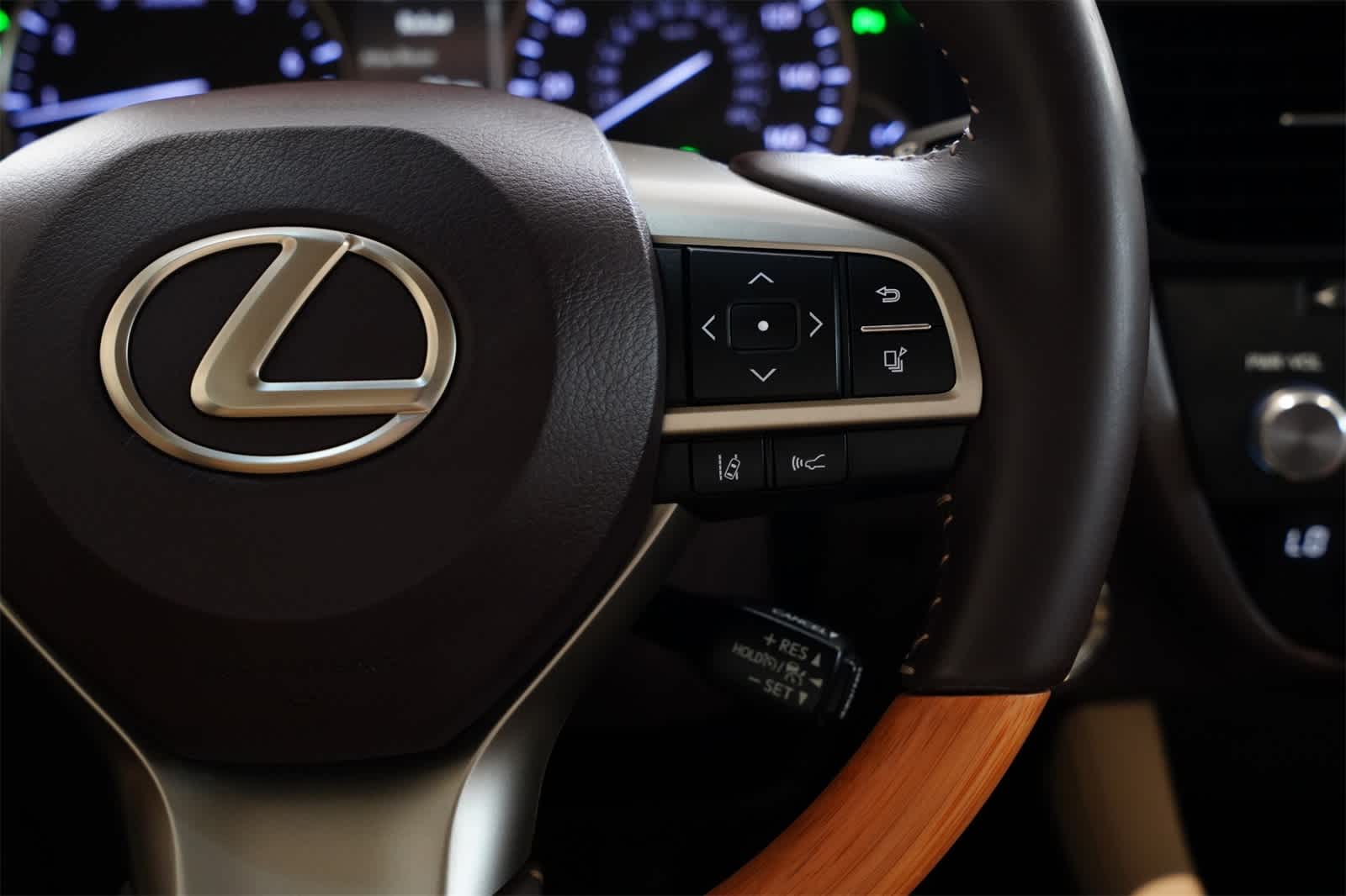 2019 Lexus RX 350 11