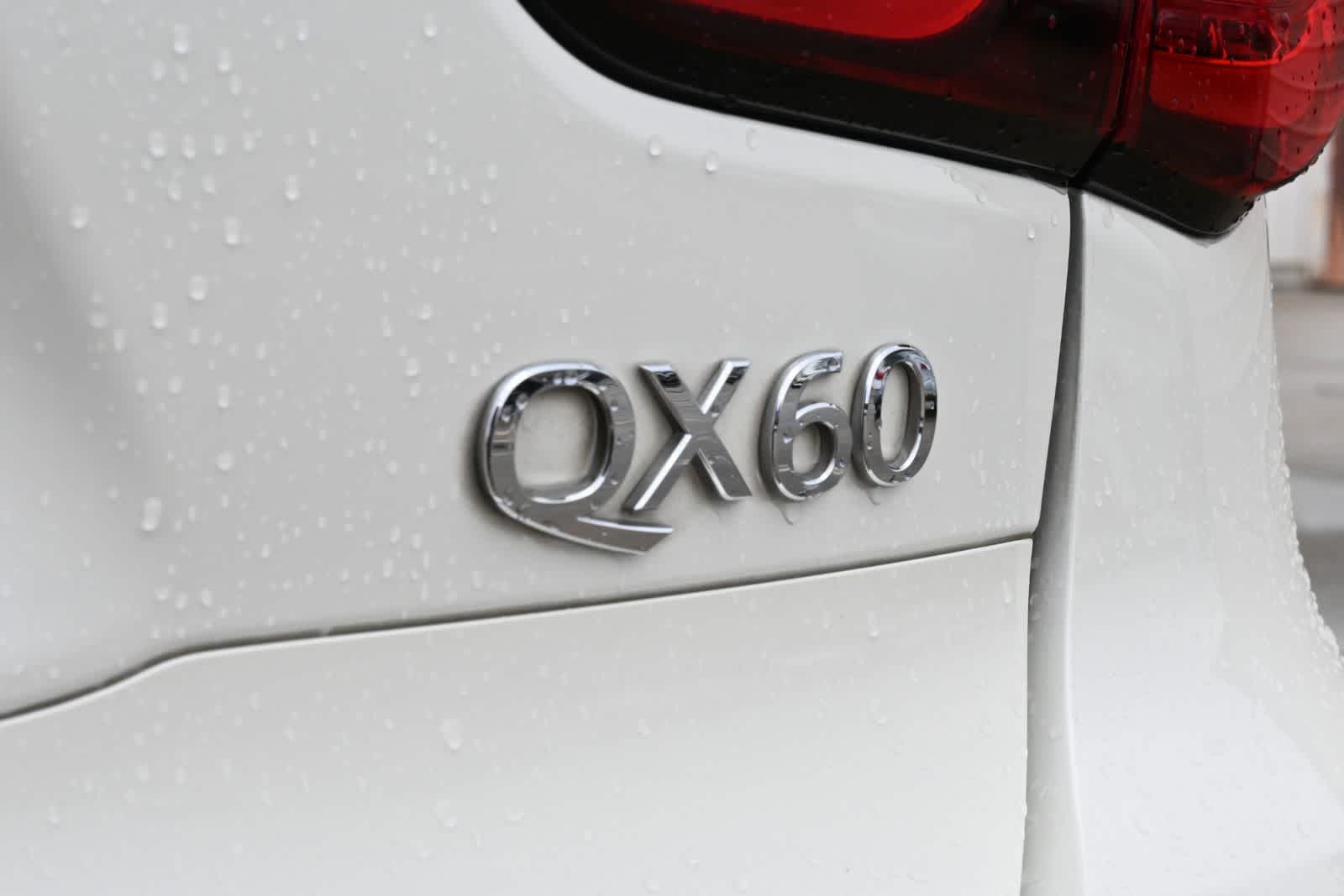 Thumbnail: 2019 INFINITI QX60 - 19