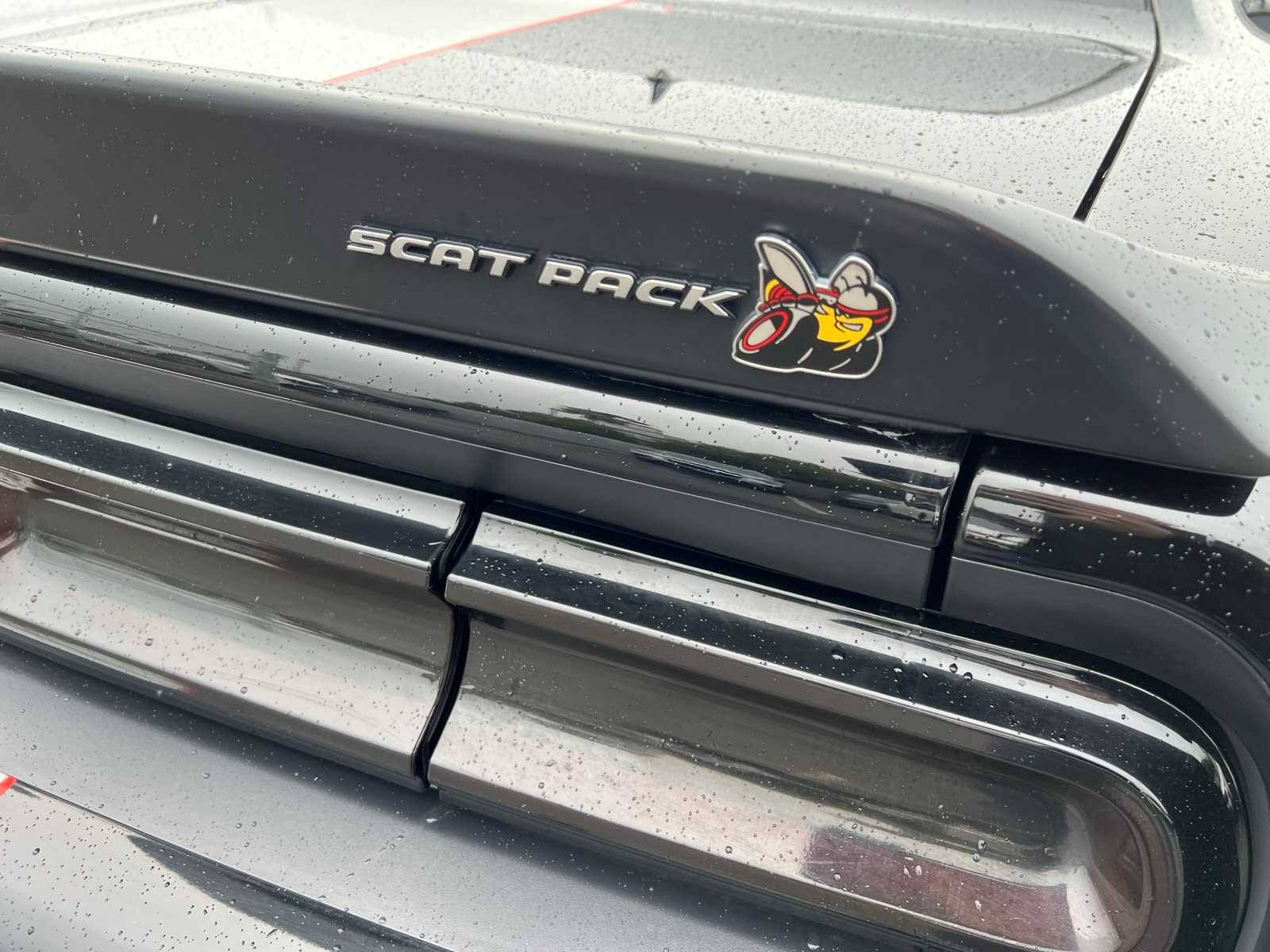 Thumbnail: 2021 Dodge Challenger - 5